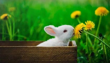 开云注册网址-青训成功经验在多地推广，地方青训体系不断优化升级，青训训练